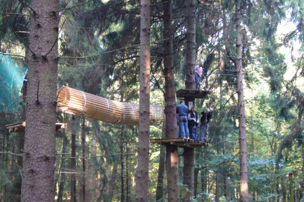 Bild 1 von kletterwald